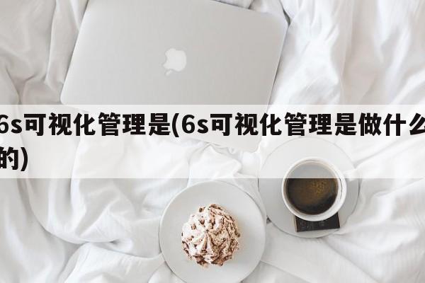 6s可视化管理是(6s可视化管理是做什么的)